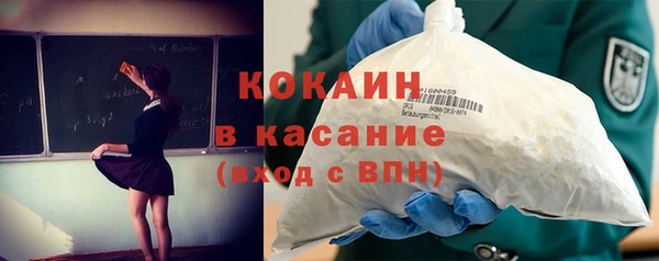 винт Гусь-Хрустальный