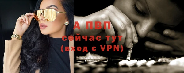 mdpv Дмитриев