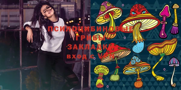 мескалин Гусиноозёрск