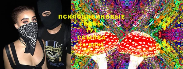 винт Гусь-Хрустальный