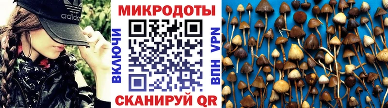 Псилоцибиновые грибы Magic Shrooms  Купить закладки  Чердынь 